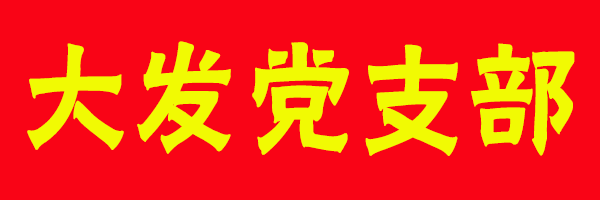 廣州大發集團黨支部