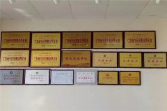 廣州大發集團榮譽墻