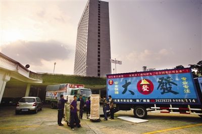 白天鵝“搬家”大陣仗-南方日報